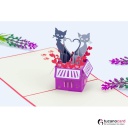 Katzenpaar in Box - Kartenfarbe Rot - 15 x 15 cm