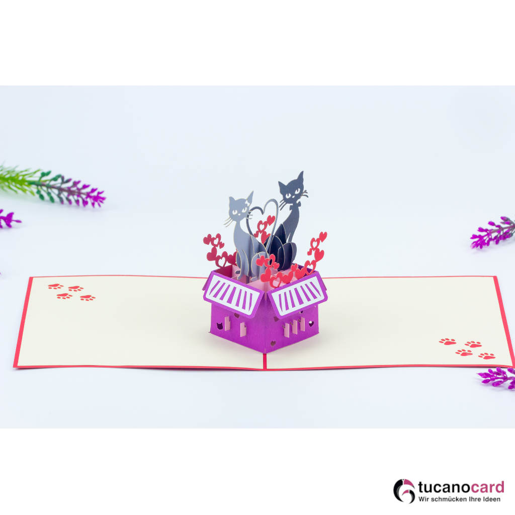 Katzenpaar in Box - Kartenfarbe Rot - 15 x 15 cm