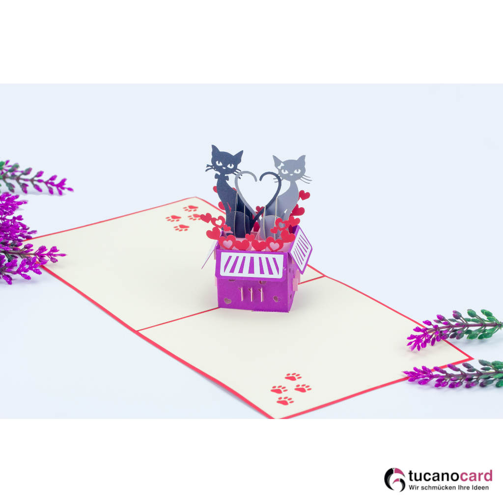Katzenpaar in Box - Kartenfarbe Rot - 15 x 15 cm
